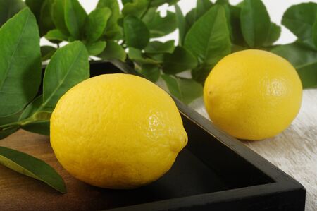 Fresh lemon on wooden backgroundの写真素材