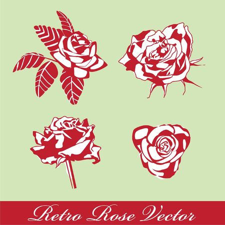rose vector retro style の写真素材