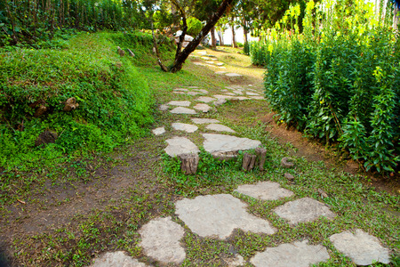 garden stone wayの写真素材