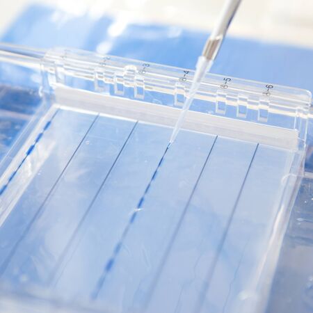 loading a sample into a gel for electrophoresisの写真素材