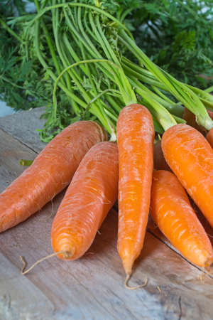 Carrotsの写真素材