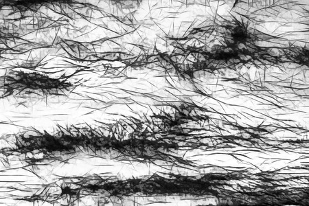 Grunge textureの写真素材