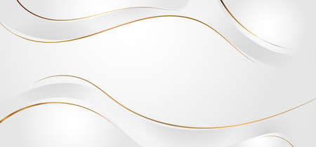 Abstract white and gray dynamic waves background with gold line curve luxury style. Vector illustrationのイラスト素材