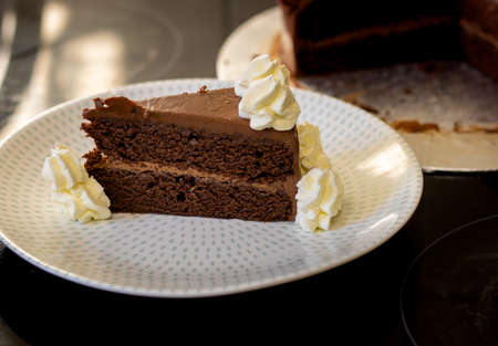 Chocolate cake on a plate with piped creamの写真素材