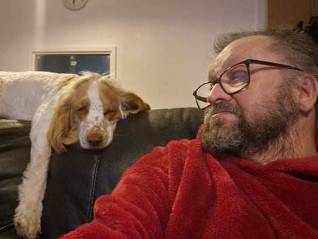 Spaniel laying behind mans headの写真素材