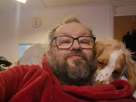 Spaniel with male owner on the sofaの写真素材