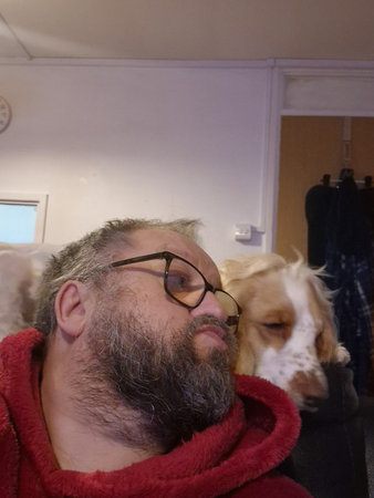 Spaniel with male owner on the sofaの写真素材