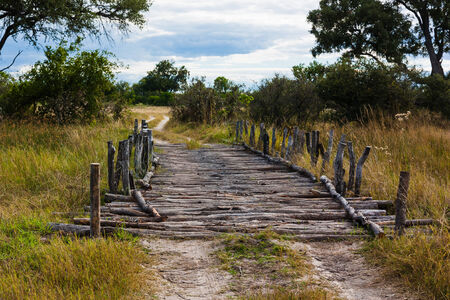 Old fashioned wooden bridge in Moremi National Park, Botwana 