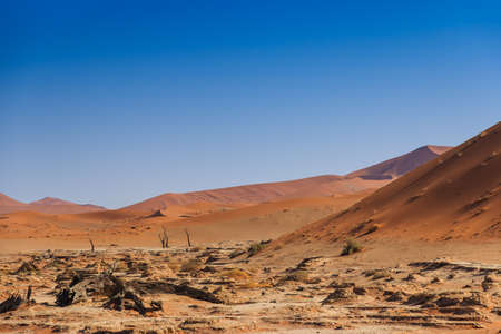 Deadvlei valley Sossusvlei, Namibia, Africa. Dead trees and sand dunes.の写真素材