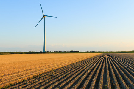 Windmillat sunset at a farmer fields in Eemshaven, The Netherlands. Sustainable energy from wind turbine.の写真素材