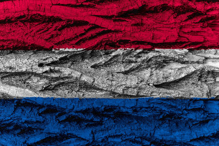 The Netherlands, Dutch national flag painted on wooden bark of tree. Painting is rough and colorful.の写真素材