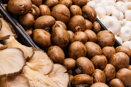Several fresh mushrooms on mercat de la boqueria Barcelona, Spainの写真素材