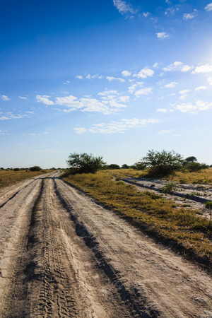 Dirt road Nxai Pan national park Botswanaの写真素材