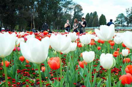 Visitors People Viewers on 2021 Australia Canberra Floriadeのeditorial素材