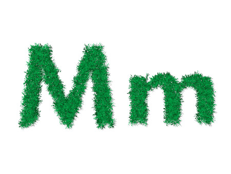 Vector green grass uppercase and lowercase alphabet letter.のイラスト素材
