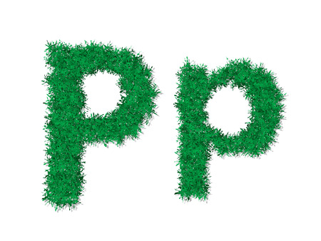 Vector green grass uppercase and lowercase alphabet letter.のイラスト素材