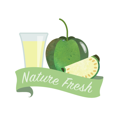 Colorful watercolor texture vector nature organic fresh fruit juice banner tomatilloのイラスト素材