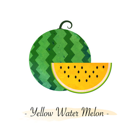 Colorful watercolor texture vector healthy fruit yellow water melonのイラスト素材