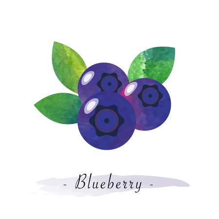 Colorful watercolor texture vector healthy fruit blueberryのイラスト素材