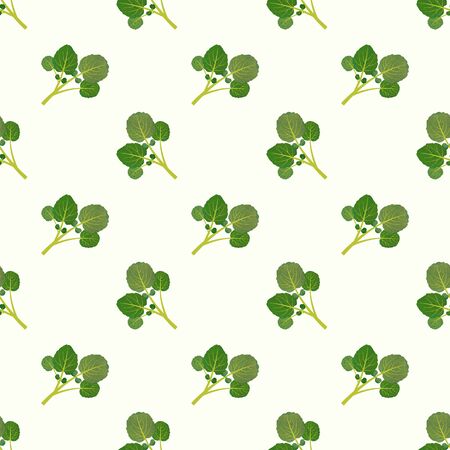 Seamless background image colorful watercolor texture vegetable food ingredient watercressの写真素材