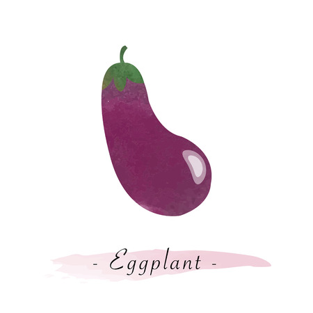 Colorful watercolor texture vector healthy vegetable eggplantのイラスト素材