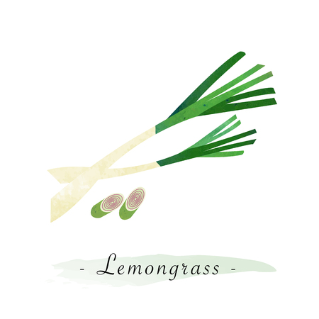 Colorful watercolor texture vector healthy vegetable lemongrassのイラスト素材