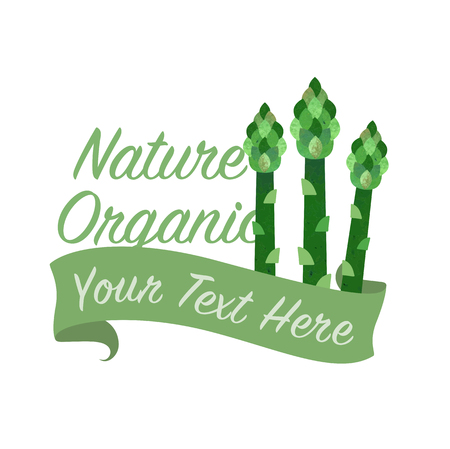 Colorful watercolor texture vector nature organic vegetable banner asparagusのイラスト素材