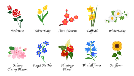 Organic nature botanic garden flower isolated vector collection setのイラスト素材