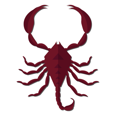 Nursery nature insect vector scorpionのイラスト素材