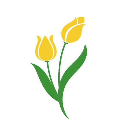 Nature flower purple tulip, vector botanic garden floral leaf plant.のイラスト素材