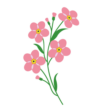 Nature flower pink forget me not, vector botanic garden floral leaf plant.のイラスト素材