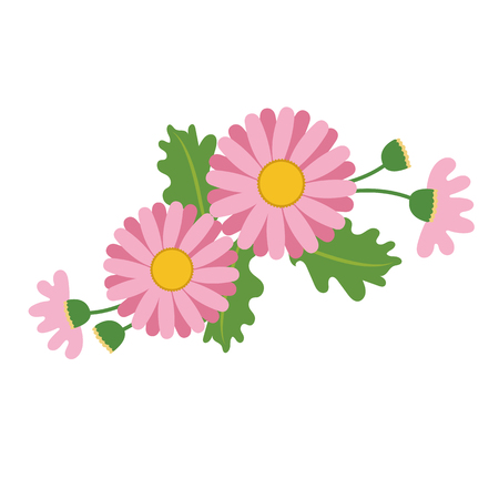 Nature flower pink daisy, vector botanic garden floral leaf plant.のイラスト素材