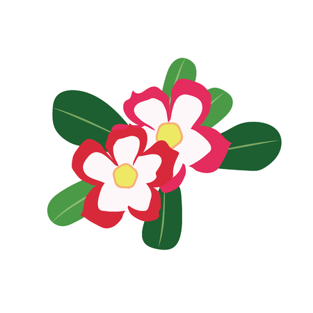 Nature flower desert rose impala lily, vector botanic garden floral leaf plant.のイラスト素材