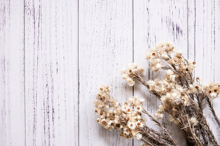 Nature garden plant daisy dried flower retro white painted wood vintage plate table blank template backgroundの写真素材