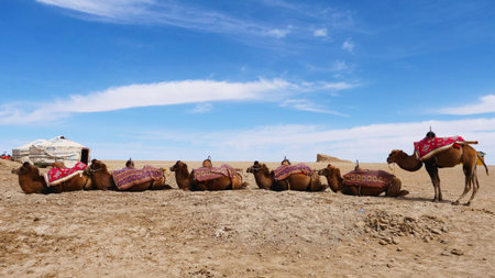 Landscape view of Dachaidan Wusute Water Yadan Geological park and camel in Qinghai Chinaの写真素材