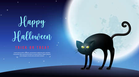 Happy halloween back cat and full moon night backgroundのイラスト素材