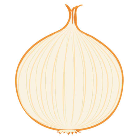 food vegetable sliced onionのイラスト素材
