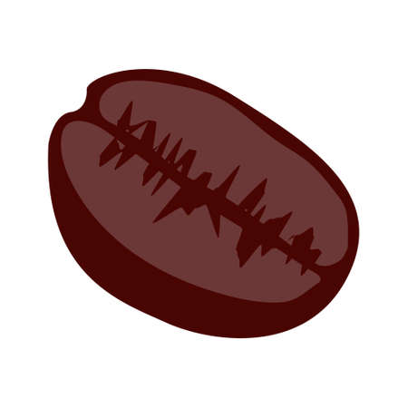 coffee beanのイラスト素材