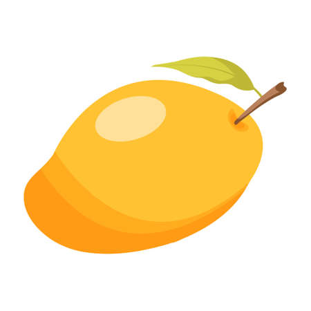 fruit mangoのイラスト素材