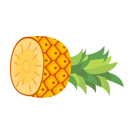 half cut fruit pineappleのイラスト素材