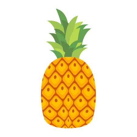 fruit pineappleのイラスト素材