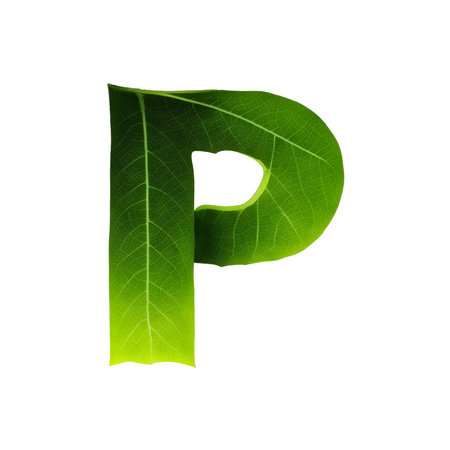 Green leaf typography text design uppercase alphabet Pの素材