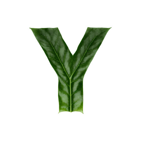 Green leaf typography text design uppercase alphabet Yの素材