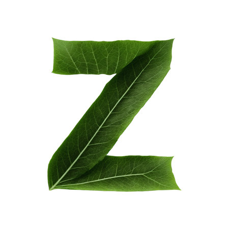 Green leaf typography text design uppercase alphabet Zの素材