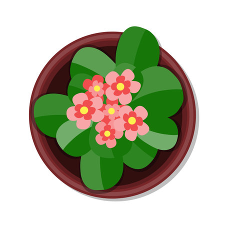 Flower pot top view cartoon illustrationのイラスト素材