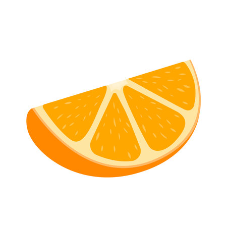 Fresh fruit sliced citrus orange cartoon vector isolated illustrationのイラスト素材