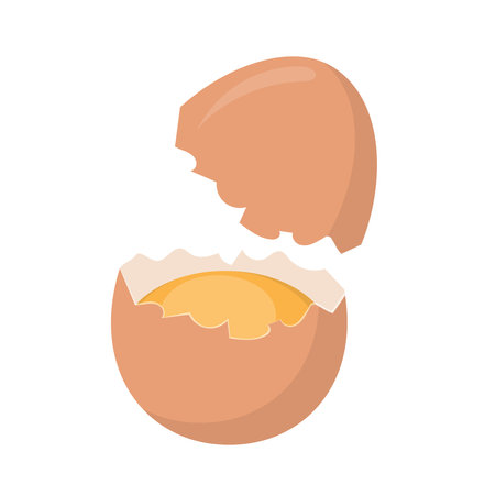 Food ingredient broken chicken egg cartoon vector isolated illustrationのイラスト素材