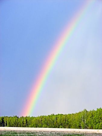 Photo rainbow in forest after spring rainの写真素材