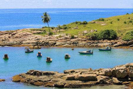 Vision of the beach "Calhetas" located on the northeastern coast of Brazilの写真素材