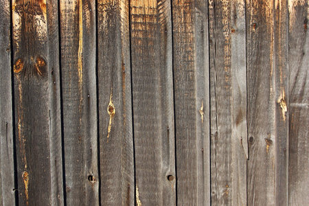 Grey Wooden Background Grey Wooden Fence Barn Wall Covering with Wide Textureの写真素材